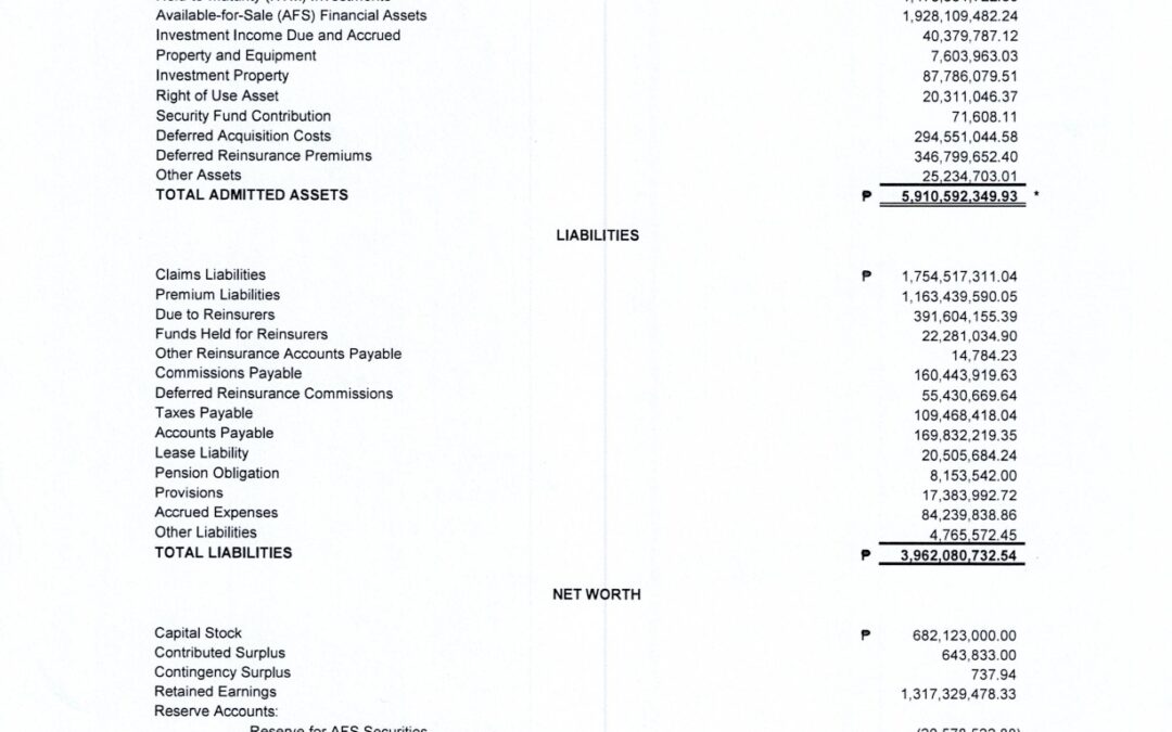 MAAGAP INSURANCE: SYNOPSIS OF ANNUAL STATEMENT FOR THE YEAR 2024