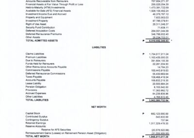 MAAGAP INSURANCE: SYNOPSIS OF ANNUAL STATEMENT FOR THE YEAR 2024